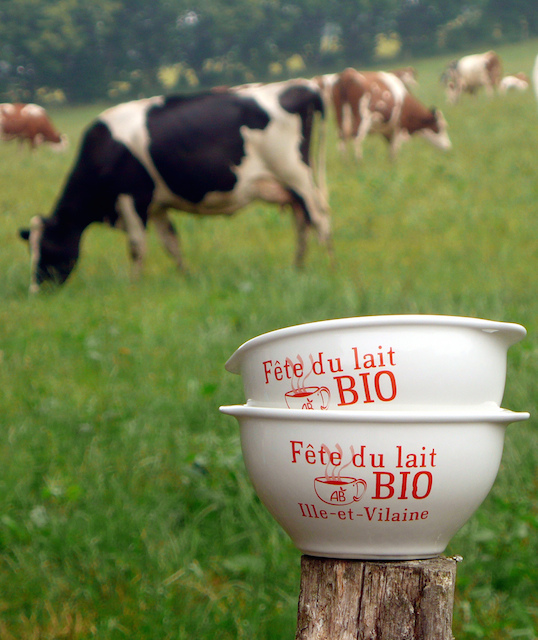 Dimanche 1er juin, le p'tit dej au lait bio est servi dans les fermes participantes, pour 5 €, 4 € pour les étudiants et demandeurs d'emploi, 3  pour les enfants jusqu'à 12 ans avec en prime un bol collecter.