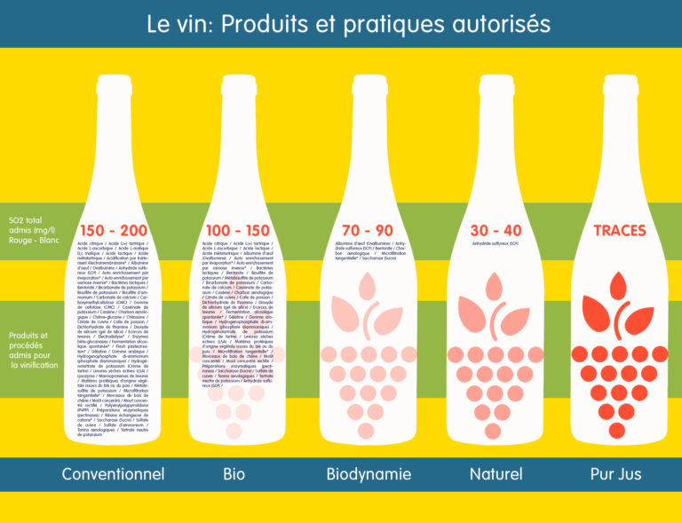 Tableau de différences entre les vins©JustineSaintLo